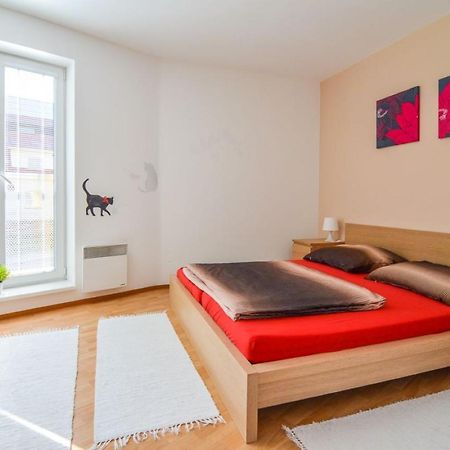 Apartman U Kostela Destne v Orlickych horach Ngoại thất bức ảnh